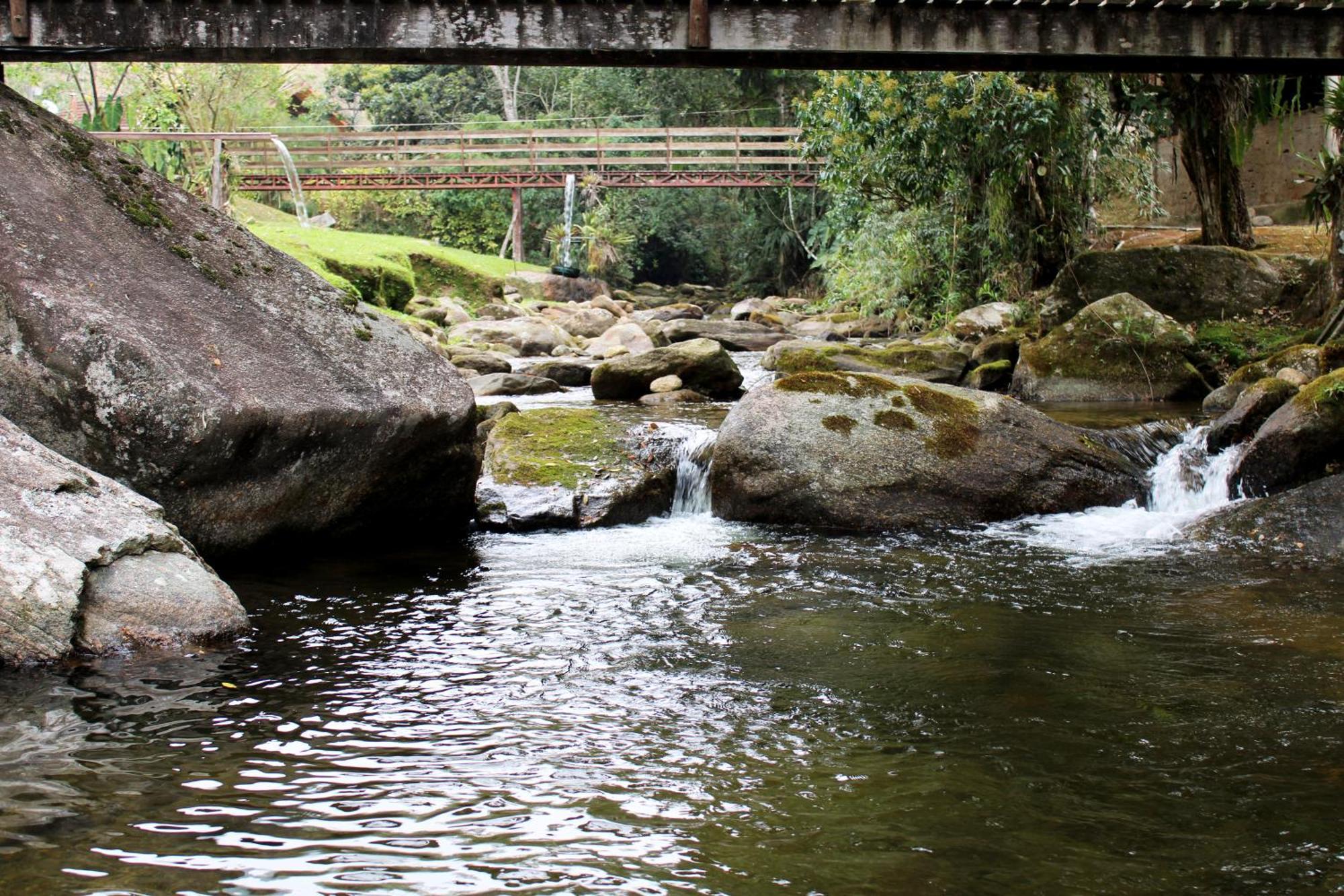 Truta Da Floresta * Núcleo Mauá