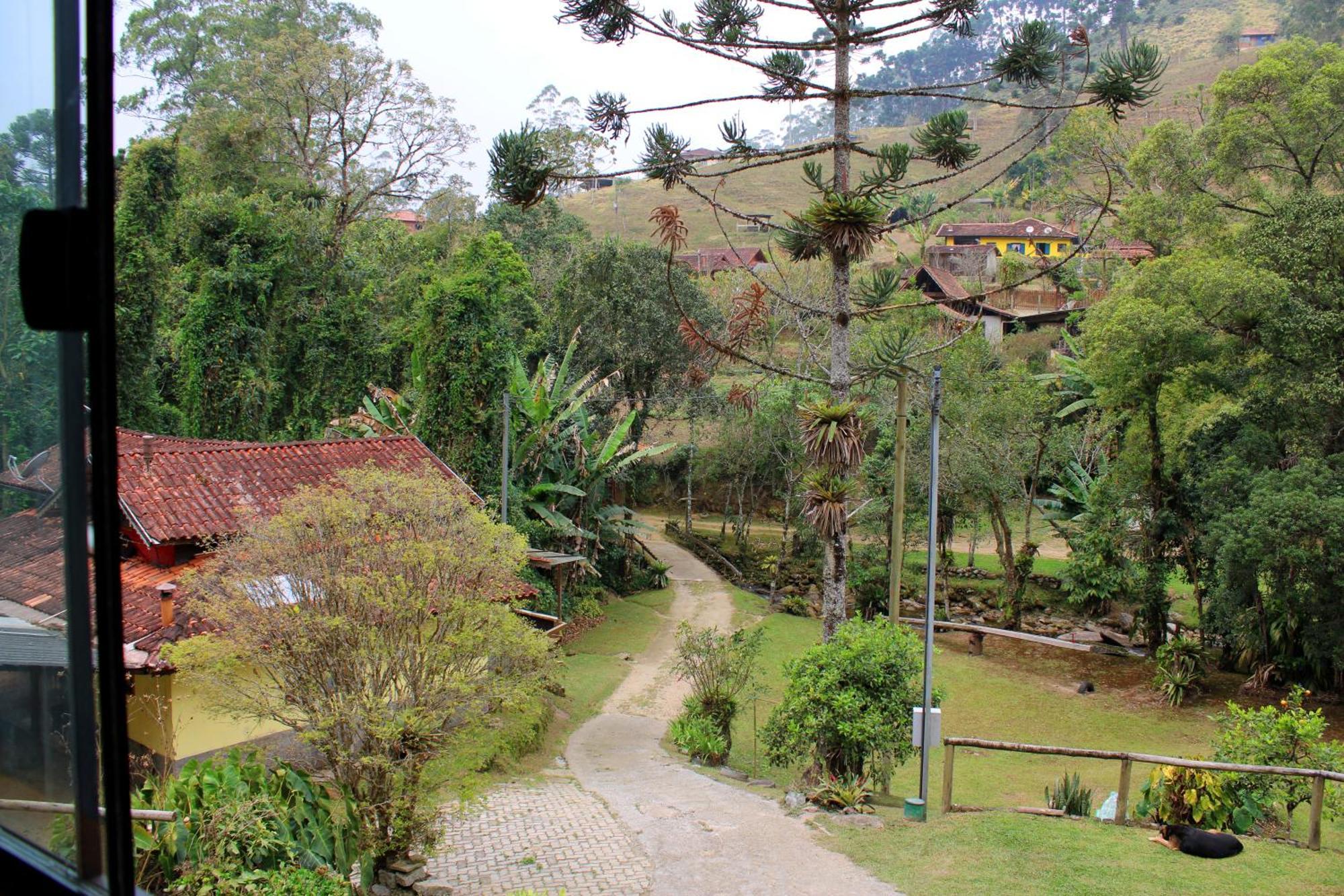 Truta Da Floresta *